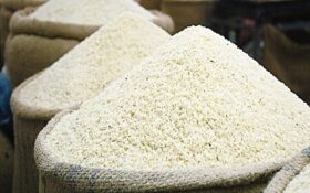 واردات برنج را به کمتر از یک میلیون تن می رسانیم